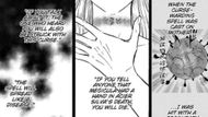 The curse that affected Acier and Nozel (Image Source: Shueisha)